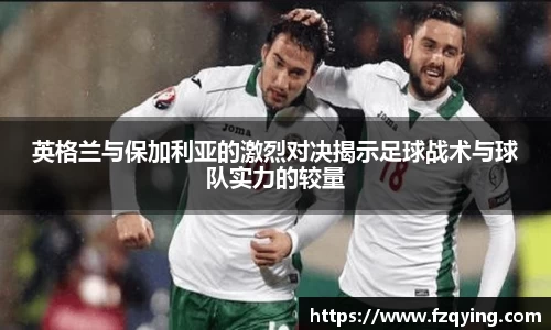 DB旗舰官网