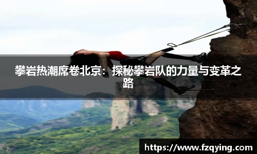 DB旗舰APP