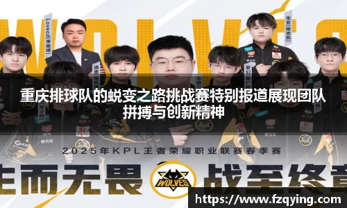 DB旗舰官网
