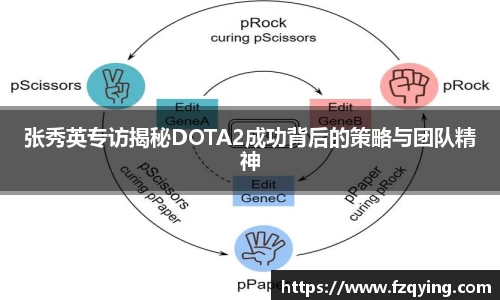 DB旗舰官网
